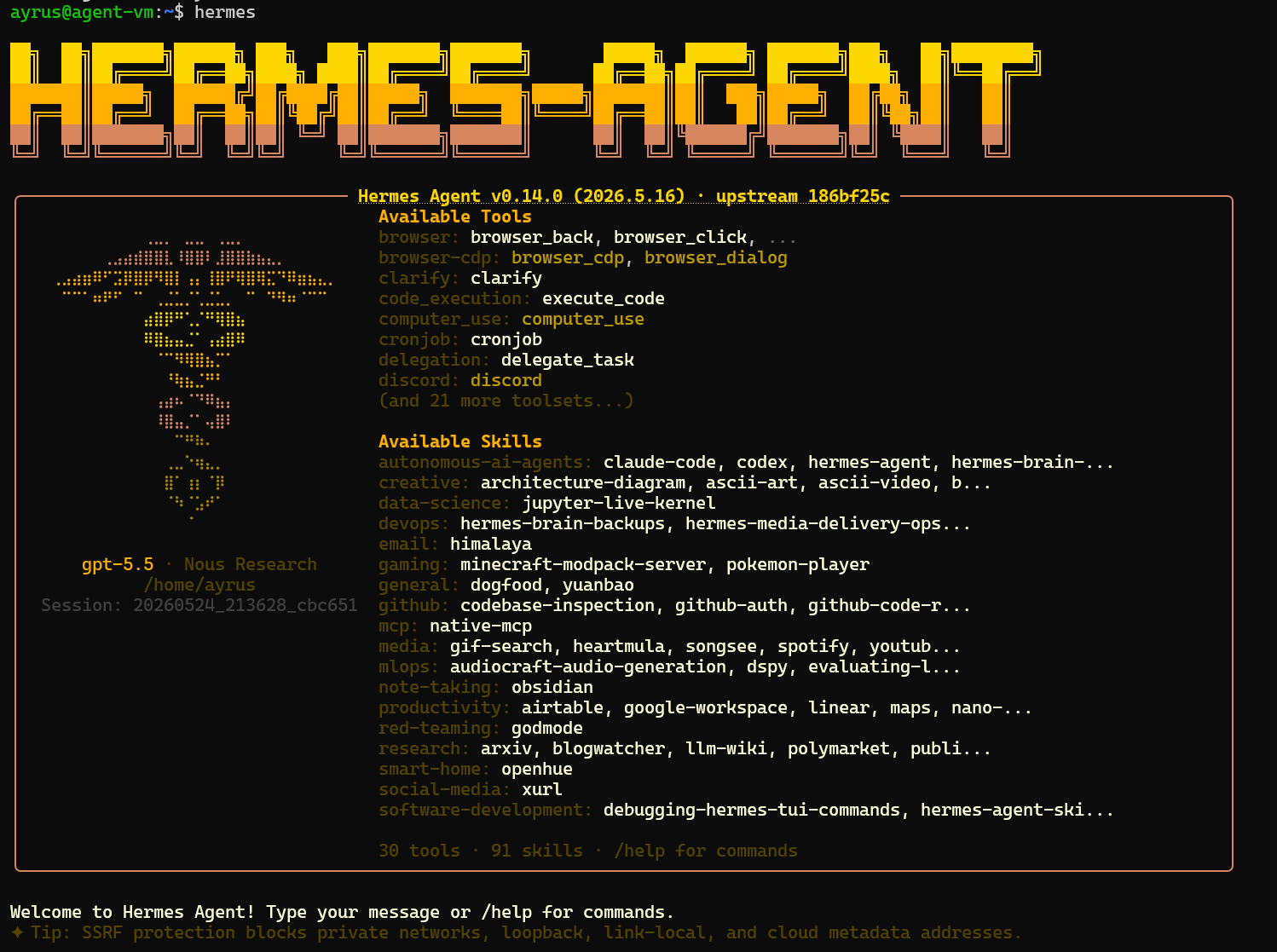 Ayrus Terminal