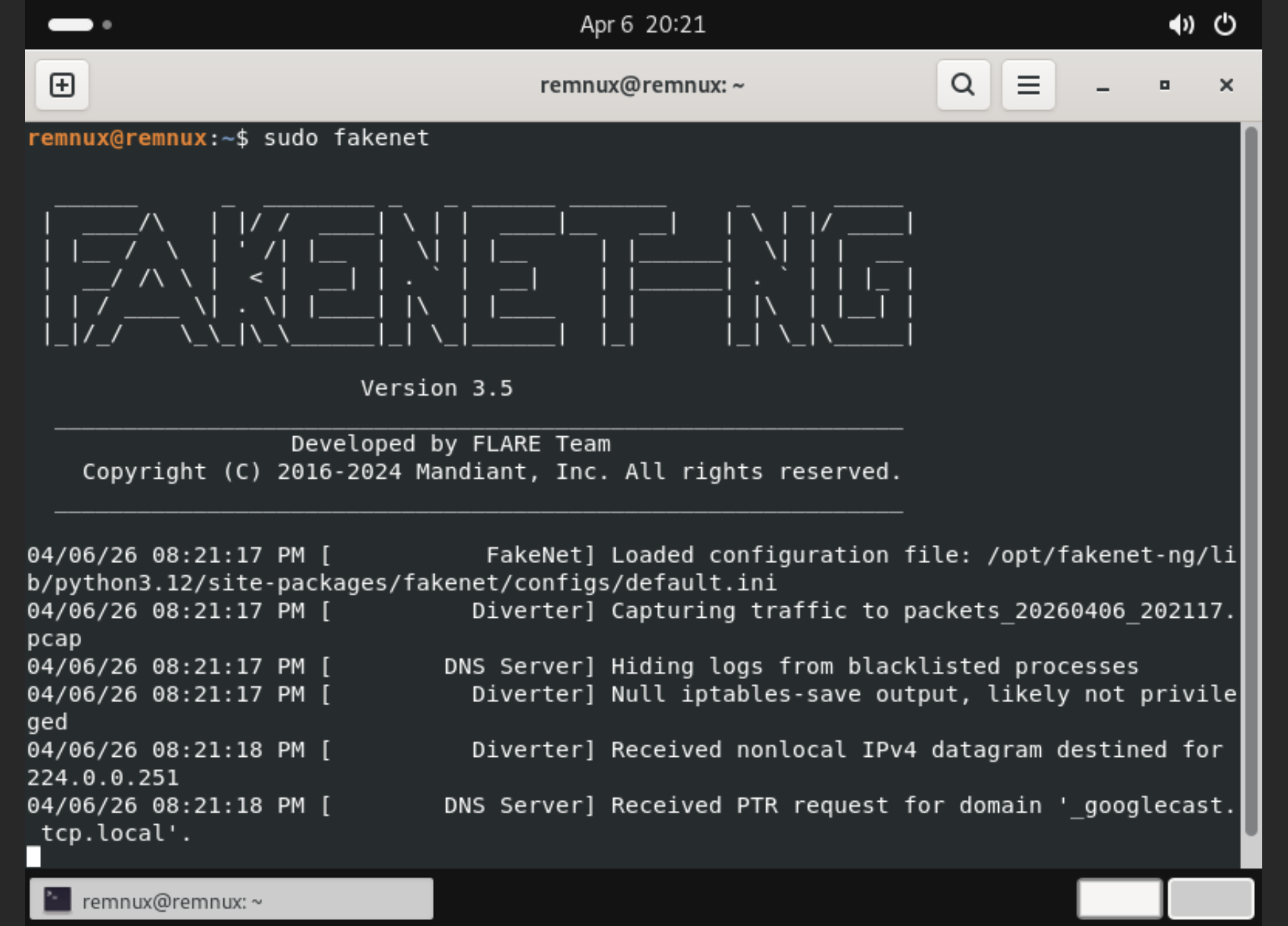 REMnux Fakenet